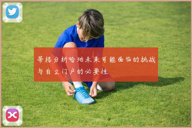蒂格分析哈珀未来可能面临的挑战与自立门户的必要性
